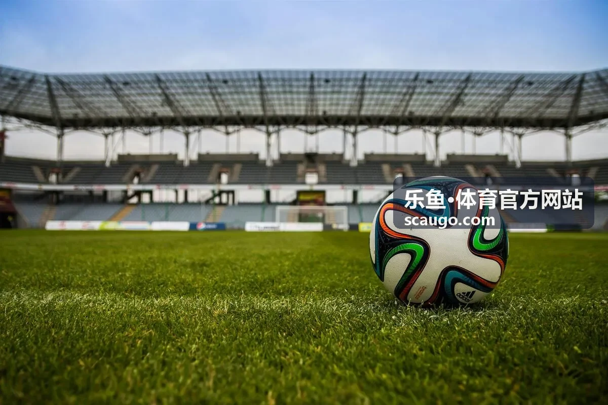 乐鱼·体育 战术分析观察封面